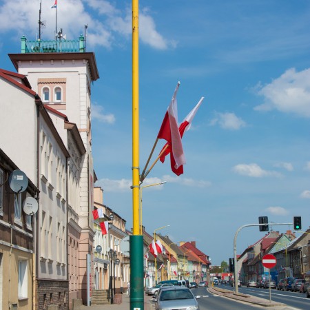 Wyświetl org. rozmiar