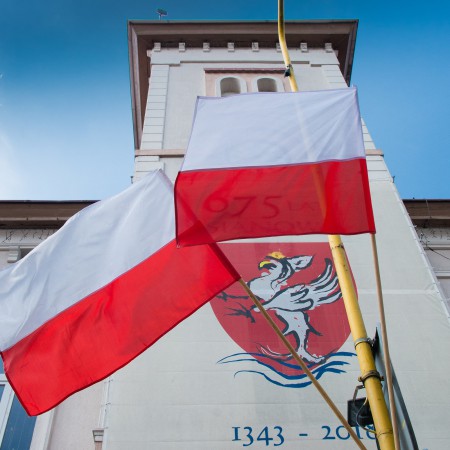 Wyświetl org. rozmiar
