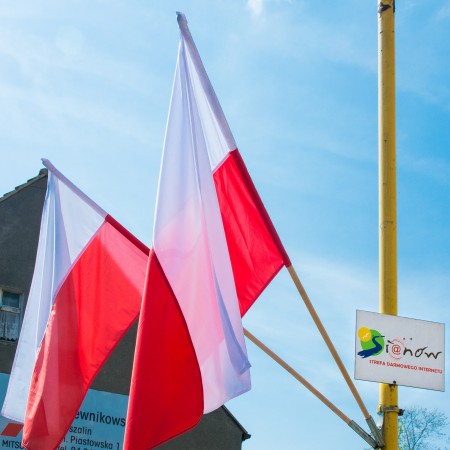 Wyświetl org. rozmiar
