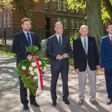 Wyświetl org. rozmiar