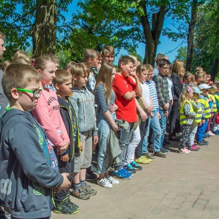 Wyświetl org. rozmiar