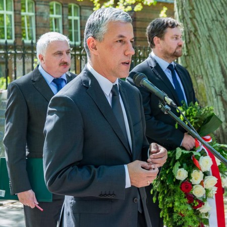 Wyświetl org. rozmiar