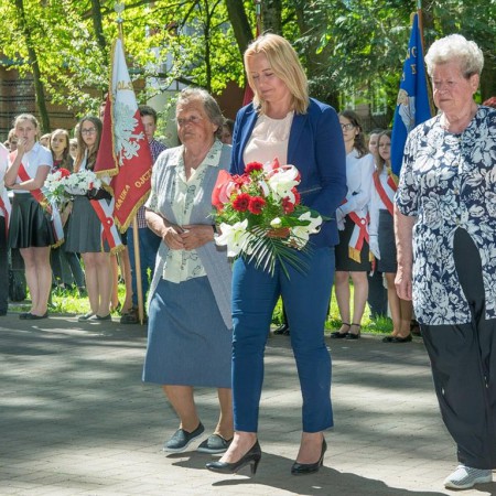 Wyświetl org. rozmiar