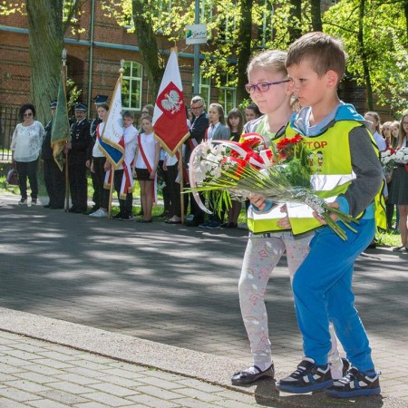 Wyświetl org. rozmiar