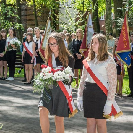 Wyświetl org. rozmiar