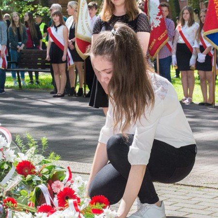 Wyświetl org. rozmiar