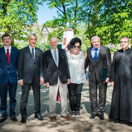 Wyświetl org. rozmiar