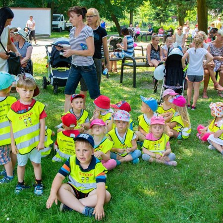 Wyświetl org. rozmiar
