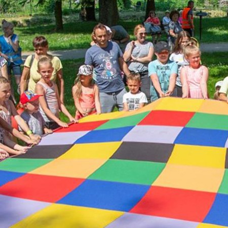Wyświetl org. rozmiar