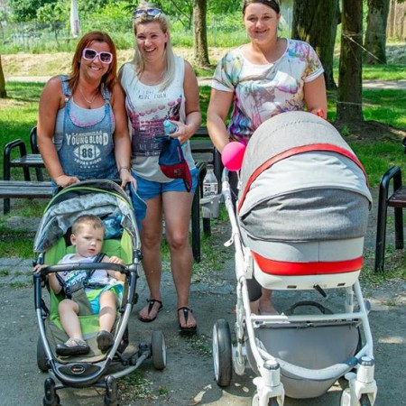Wyświetl org. rozmiar