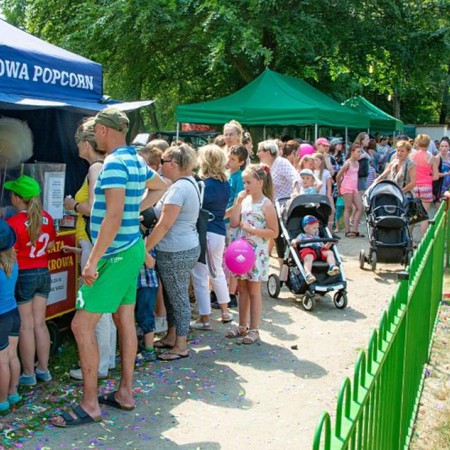 Wyświetl org. rozmiar