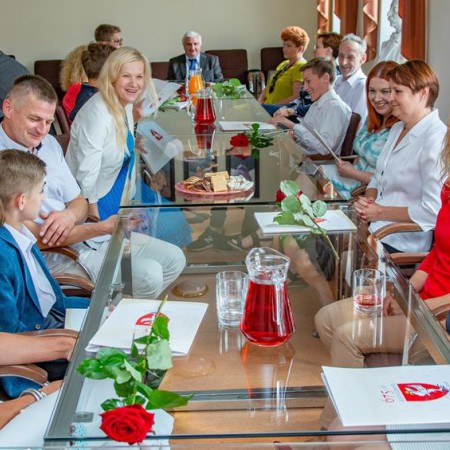 Wyświetl org. rozmiar