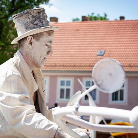 Wyświetl org. rozmiar