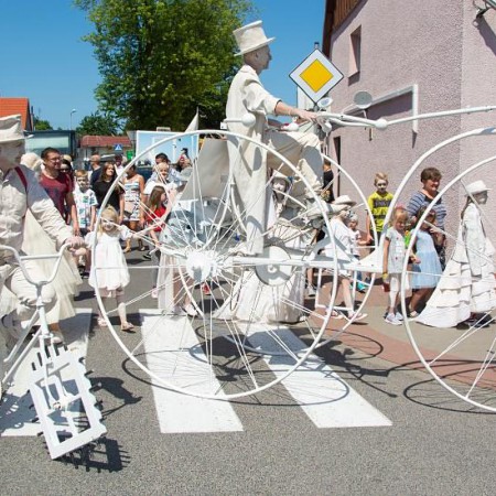 Wyświetl org. rozmiar