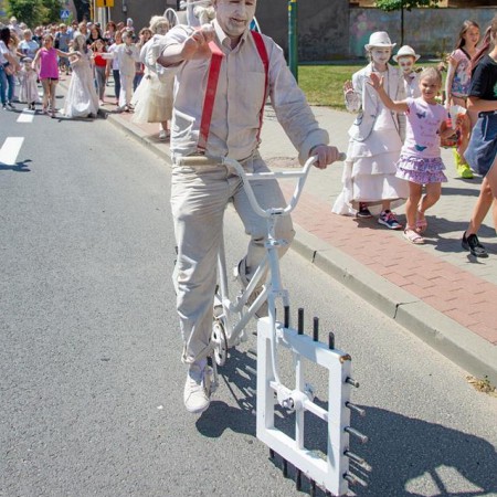 Wyświetl org. rozmiar