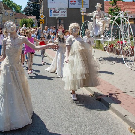 Wyświetl org. rozmiar