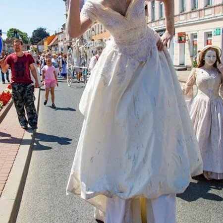 Wyświetl org. rozmiar