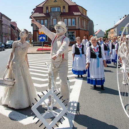 Wyświetl org. rozmiar