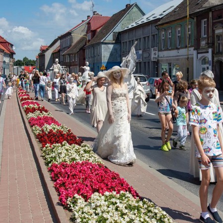 Wyświetl org. rozmiar