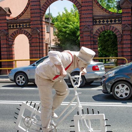 Wyświetl org. rozmiar