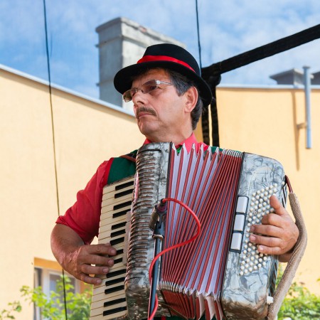 Wyświetl org. rozmiar