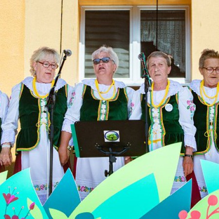 Wyświetl org. rozmiar