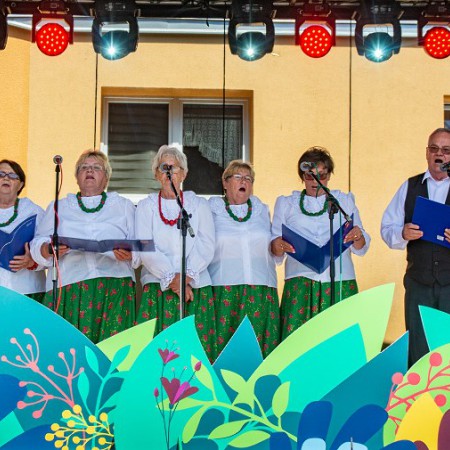 Wyświetl org. rozmiar