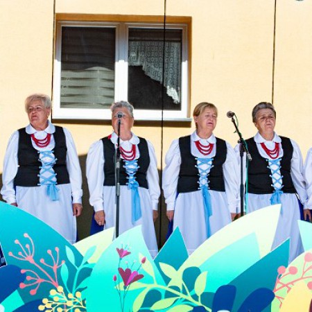 Wyświetl org. rozmiar