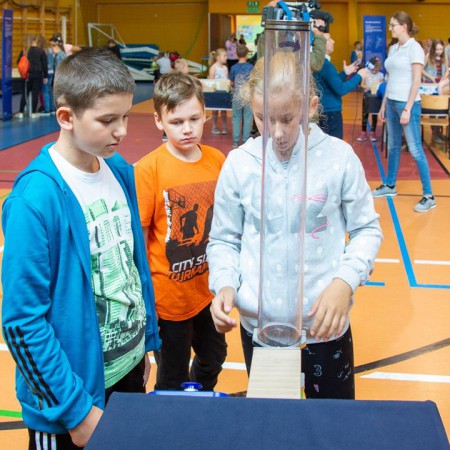 Wyświetl org. rozmiar
