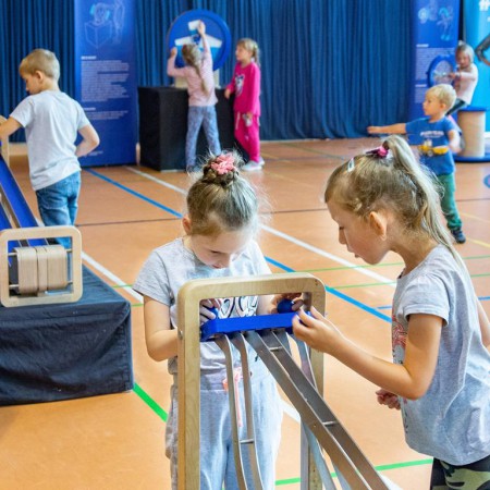 Wyświetl org. rozmiar