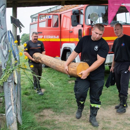 Wyświetl org. rozmiar