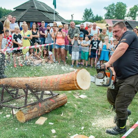 Wyświetl org. rozmiar