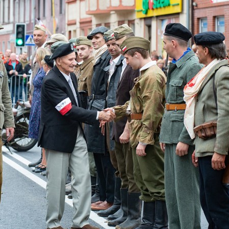 Wyświetl org. rozmiar