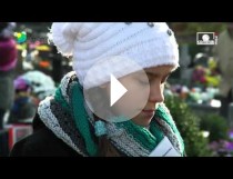 Wszystkich Świętych Sianów 2015