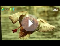 Wernisaż wystawy fotograficznej Marek Jóźków