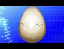 KOKOFY Wielkanoc 2016